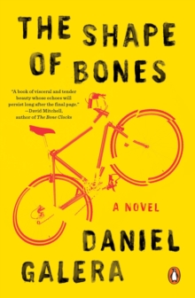 Shape Of Bones