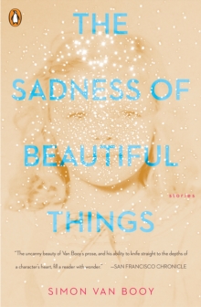 The Sadness Of Beautiful Things: Stories