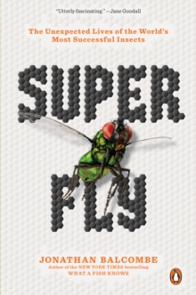 Super Fly: The Unexpected Lives of the World’s Most Successful Insects