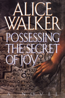 Image for Possessing the Secret of Joy.