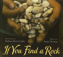 Image for If You Find a Rock