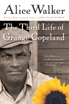 Image for The Third Life Of Grange Copeland