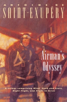 Image for Airman's Odyssey