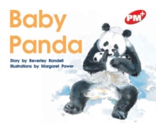 Image for Baby Panda