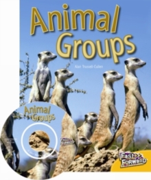 Image for Animal Groups