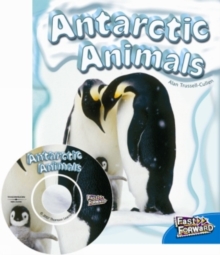 Image for Antarctic Animals