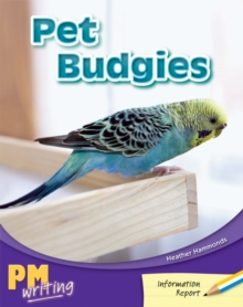 Image for Pet Budgies