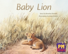 Image for Baby Lion