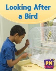 Image for Looking After a Bird