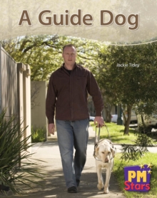 Image for A Guide Dog