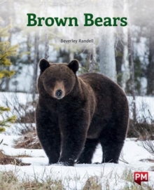 Image for BROWN BEARS
