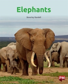 Image for ELEPHANTS
