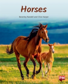 Image for HORSES