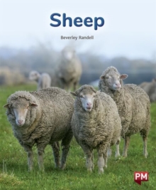 Image for SHEEP