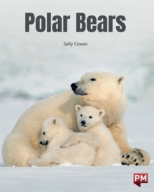 Image for POLAR BEARS
