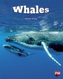 Image for WHALES