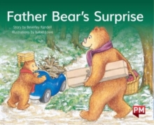 Image for PM GREEN FATHER BEARS SURPRISE PM STORYB