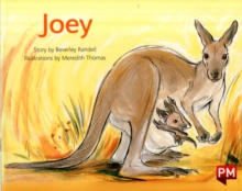 Image for PM GREEN JOEY PM STORYBOOKS LEVEL 14