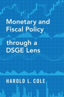 Monetary and Fiscal Policy through a DSGE Lens