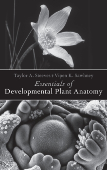 Image for Essentials of developmental plant anatomy