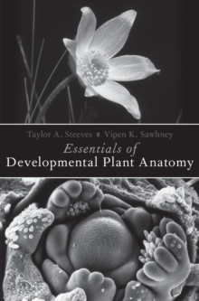 Image for Essentials of developmental plant anatomy
