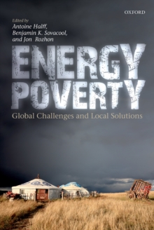 Image for Energy poverty: global challenges and local solutions