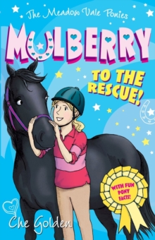 Image for The Meadow Vale Ponies: Mulberry to the Rescue!
