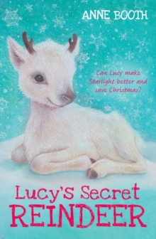 Image for Lucy's Secret Reindeer
