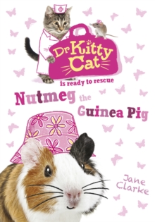Image for Nutmeg the guinea pig