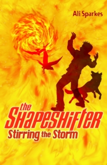 Image for The Shapeshifter 5 Stirring the Storm