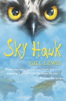 Image for Sky hawk