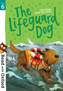 Image for The lifeguard dog