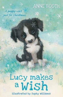 Image for Lucy makes a wish