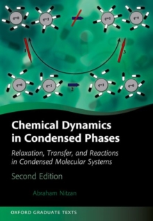Image for Chemical Dynamics in Condensed Phases