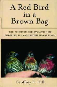Red Bird in a Brown Bag
