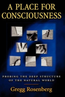 Place for Consciousness