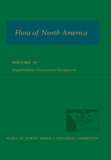 Image for Flora of North America: Volume 10, Magnoliophyta: Proteaceae to Elaeagnaceae