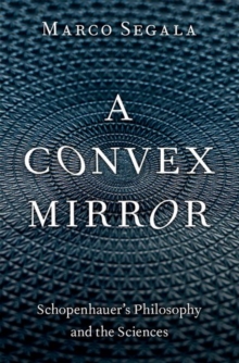 Image for A Convex Mirror