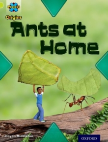 Image for Ants at home