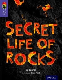 Image for Oxford Reading Tree TreeTops inFact: Level 11: Secret Life of Rocks