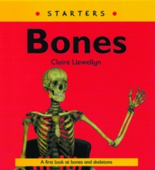 Image for Read Write Inc. Comprehension: Module 9: Children's Books: Bones Pack of 5 books
