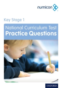 Image for Numicon: Key Stage 1 National Curriculum Test Practice Questions
