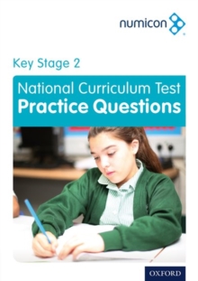 Image for Numicon: Key Stage 2 National Curriculum Test Practice Questions