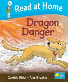 Image for Read at Home: More Level 3C: Dragon Danger