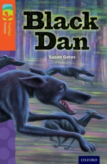 Image for Oxford Reading Tree TreeTops Fiction: Level 13 More Pack A: Black Dan