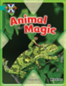 Image for Project X: Hide and Seek: Animal Magic