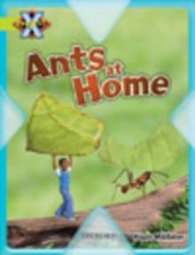 Image for Project X: Underground: Ants at Home