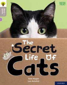 Image for The secret life of cats