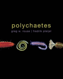 Image for Polychaetes