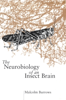 Neurobiology of an Insect Brain